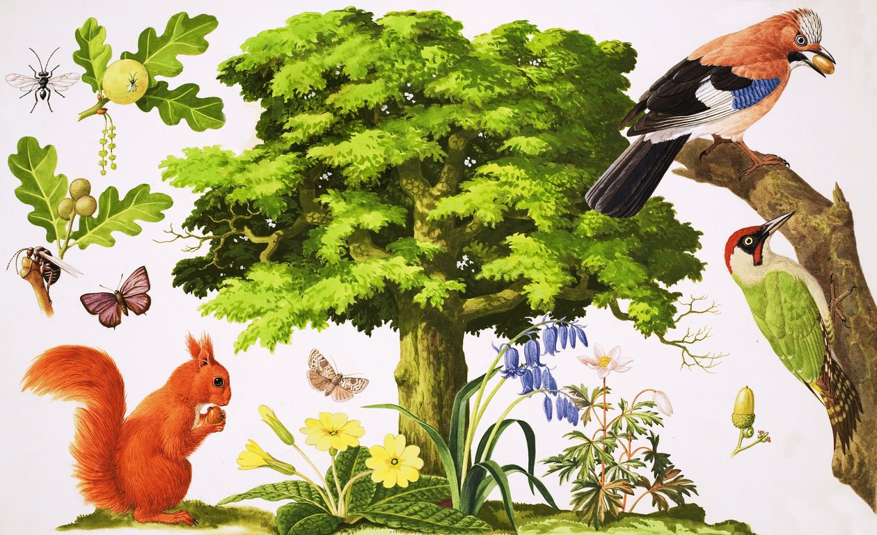 El maravilloso roble de John Rignall