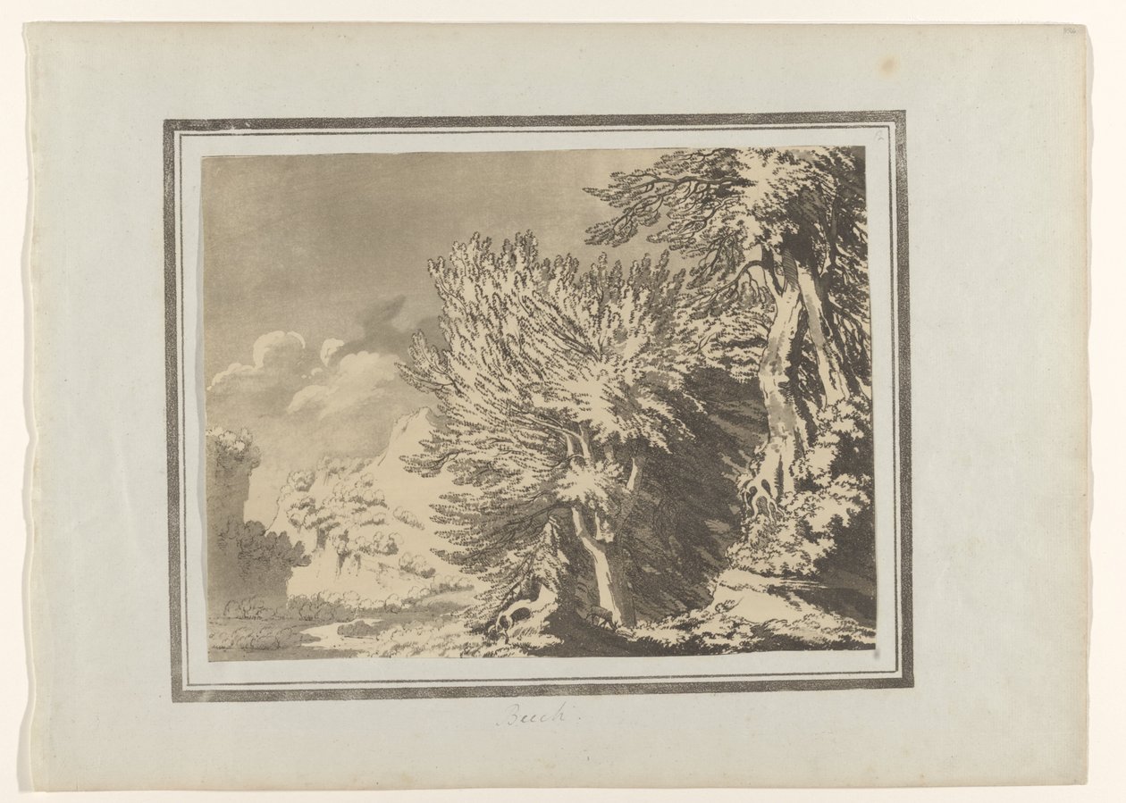 Beuk Haya (título sobre el objeto) Verschillende soorten bomen (título de la serie) Delineaciones del carácter general, ramificaciones y follaje de los árboles forestales (título de la serie) de John Robert Cozens