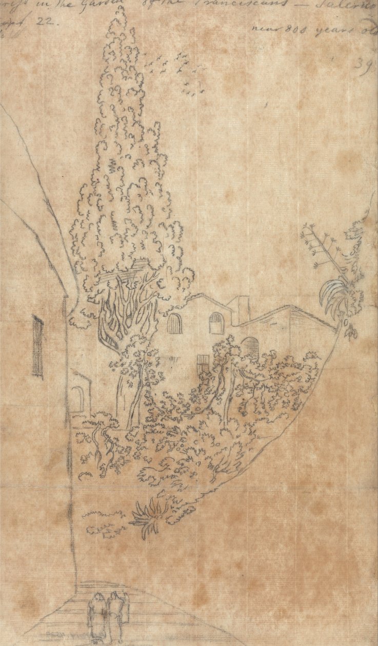 Ciprés en el jardín de los franciscanos de Salerno de John Robert Cozens