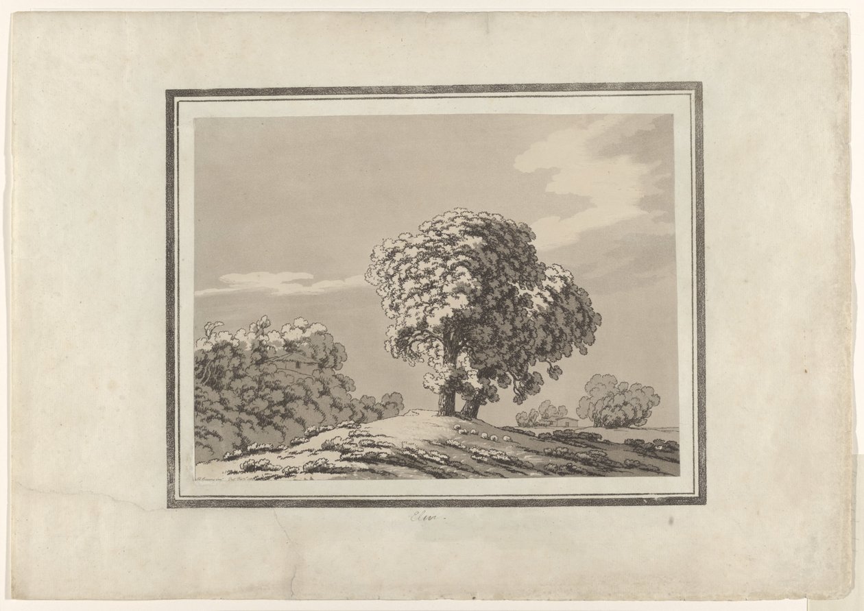 Olmo de John Robert Cozens