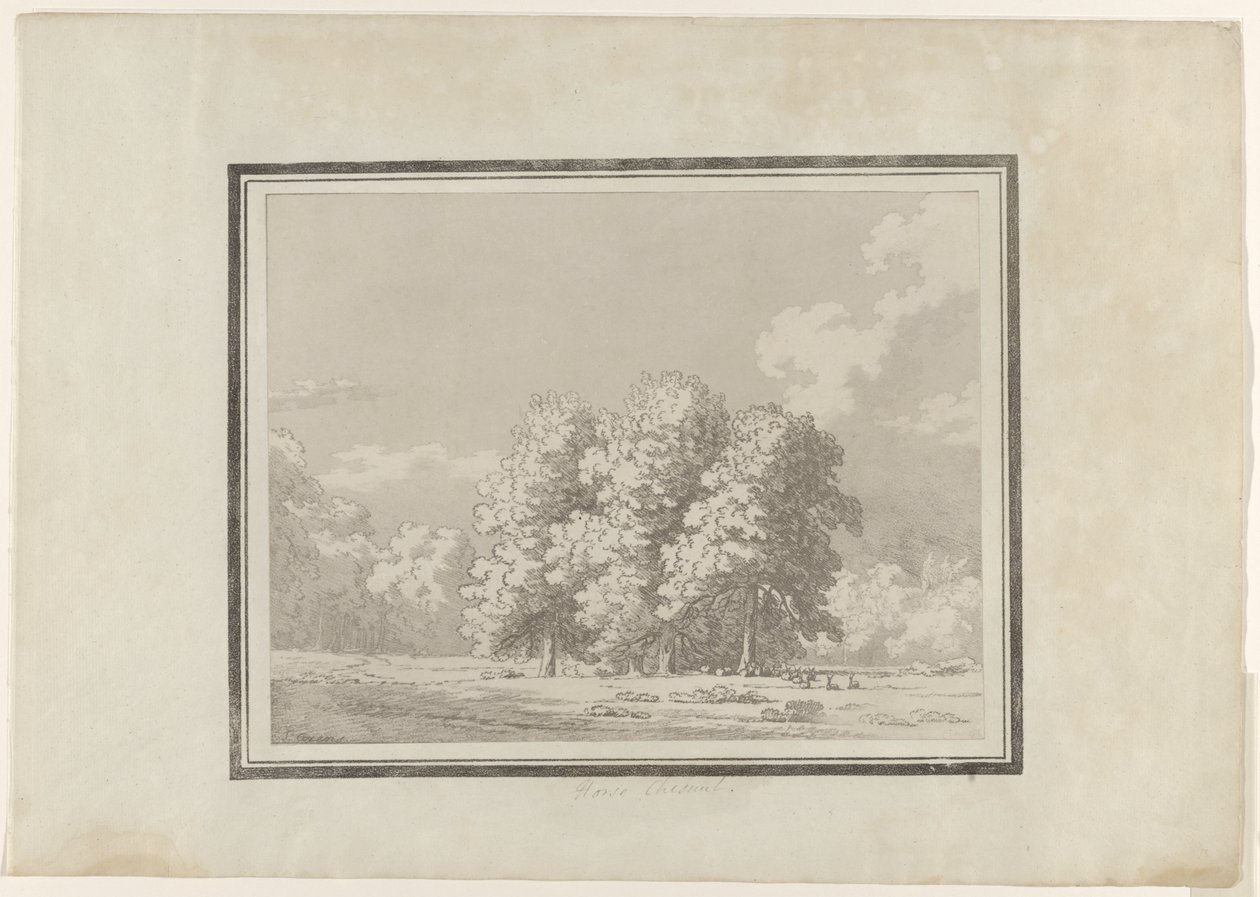 Castaño de Indias de John Robert Cozens