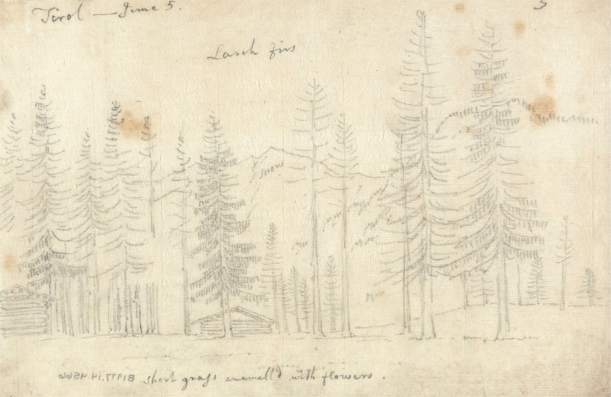 En el Tirol de John Robert Cozens