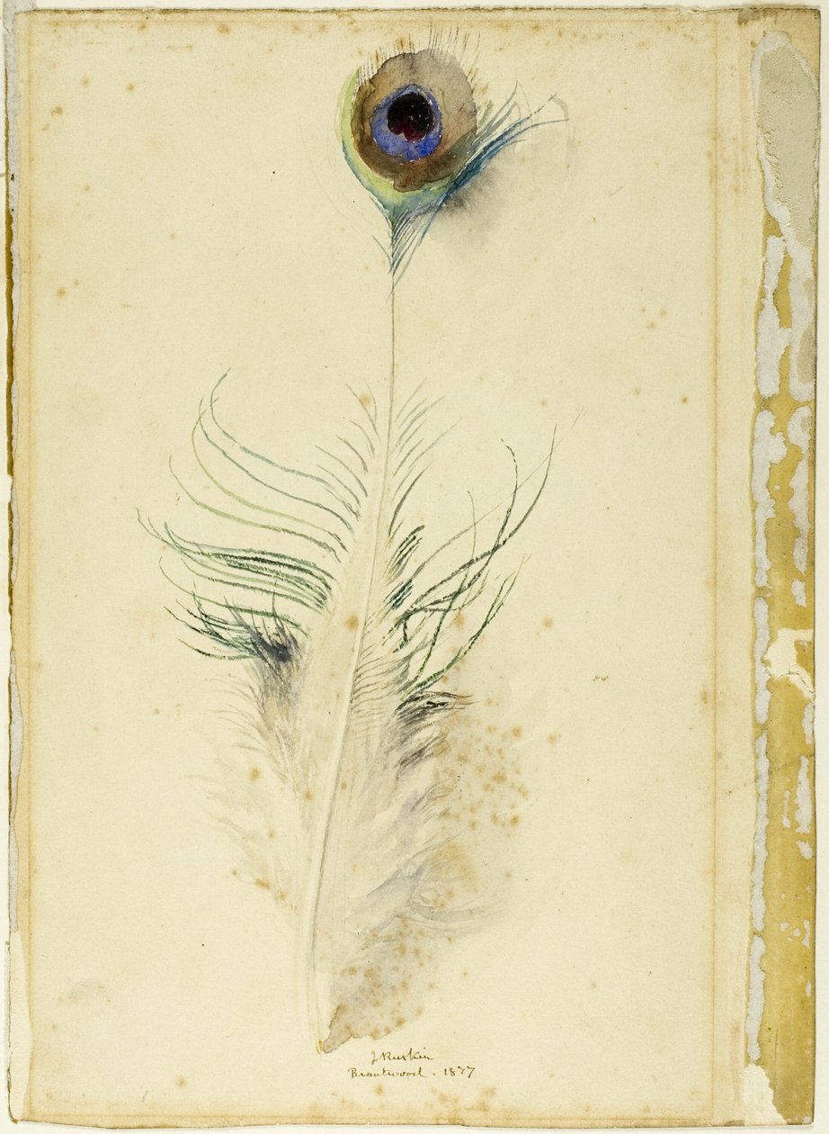 Pluma de pavo real de John Ruskin