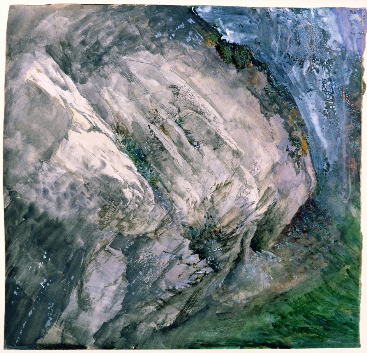 Rocas y vegetación en Chamouni, 1854 de John Ruskin