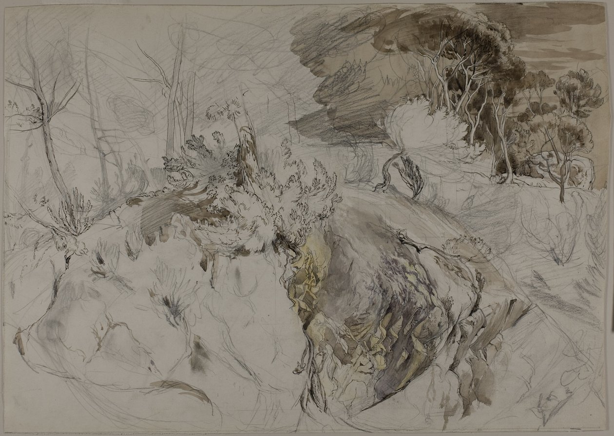 Arbustos y árboles en paisaje rocoso de John Ruskin