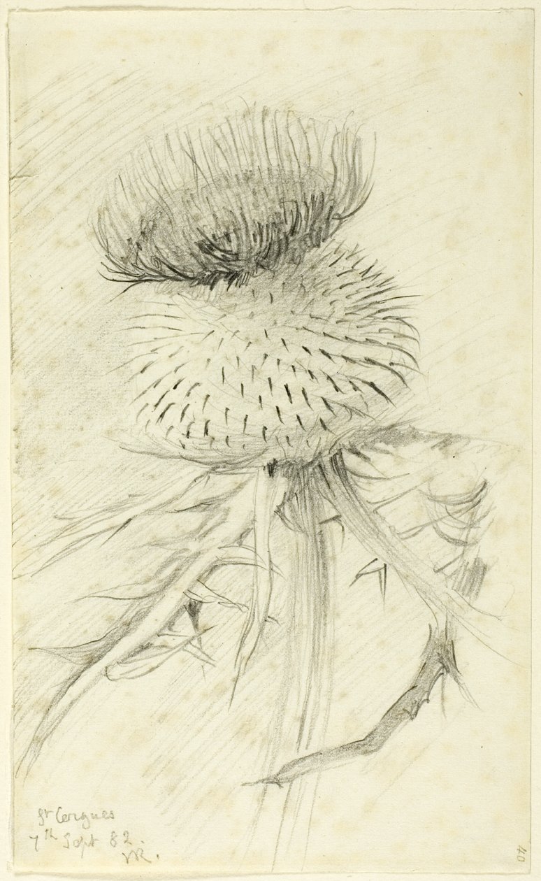 San Cergues de John Ruskin