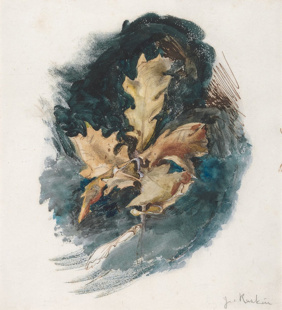 Estudio de una hoja de roble de John Ruskin