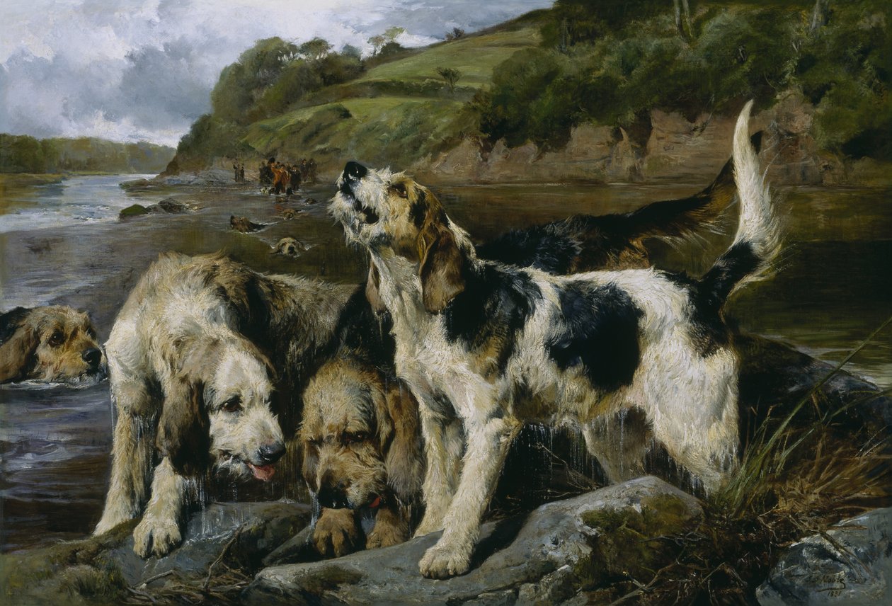 Caza de nutrias, o En el rastro de John Sargent Noble