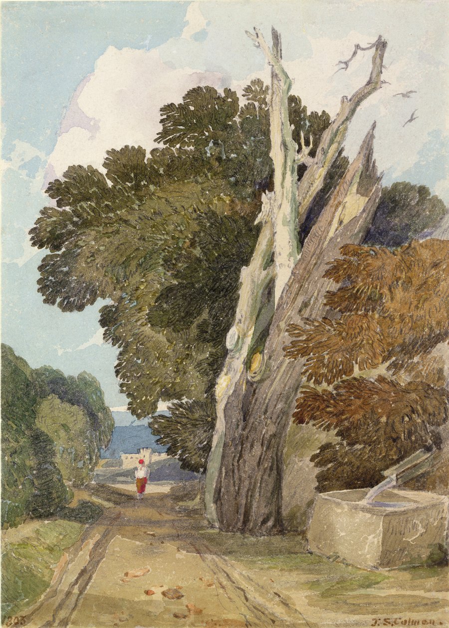 Un castaño español golpeado por un rayo de John Sell Cotman