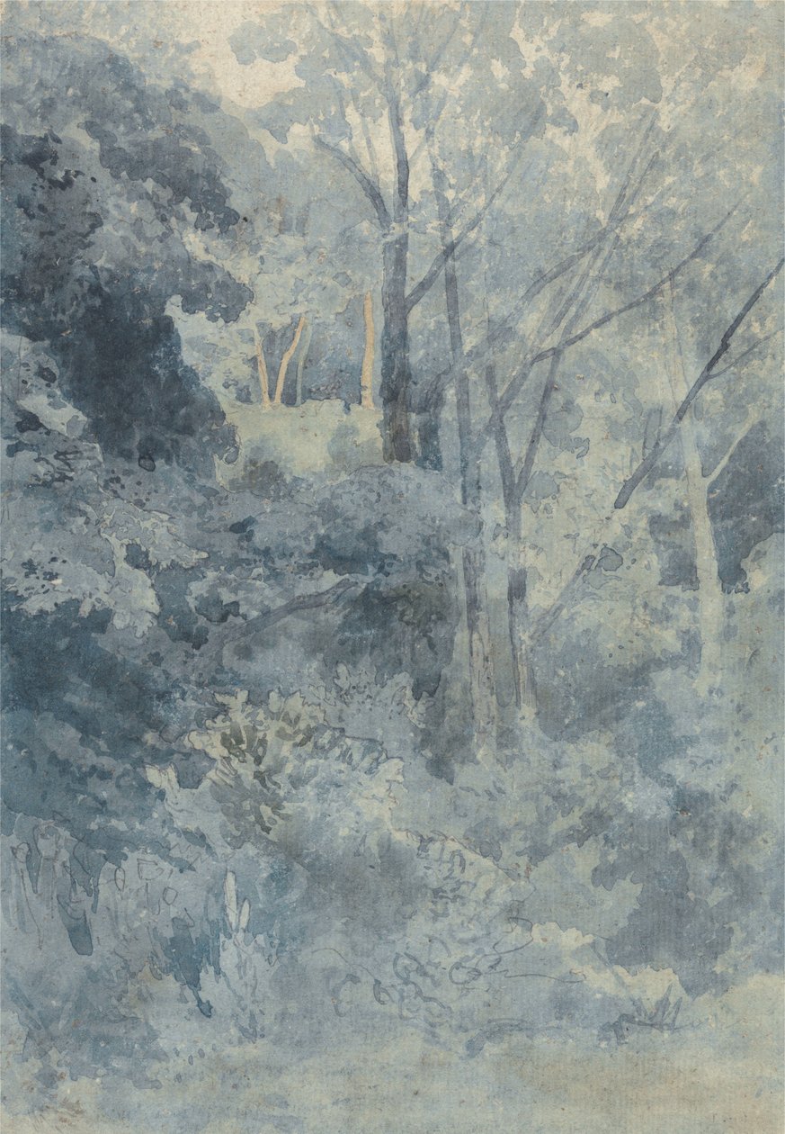 En el parque de Rokeby de John Sell Cotman