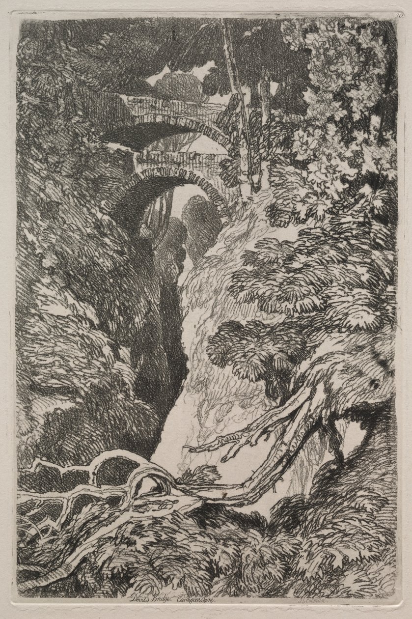Liber Studiorum: Puente del Diablo, Cardiganshire de John Sell Cotman