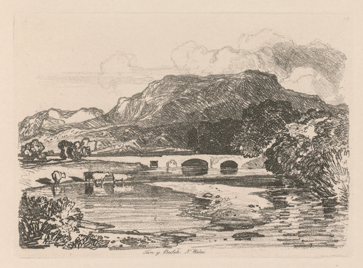 Liber Studiorum: Placa 14, Tan-y-Bwlch, Merionethshire, Gales del Norte, 1838 de John Sell Cotman