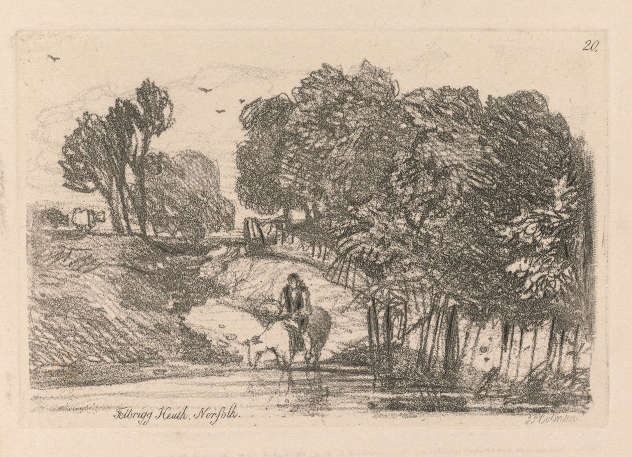 Liber Studiorum: Lámina 20, Felbrigg Heath, Norfolk de John Sell Cotman