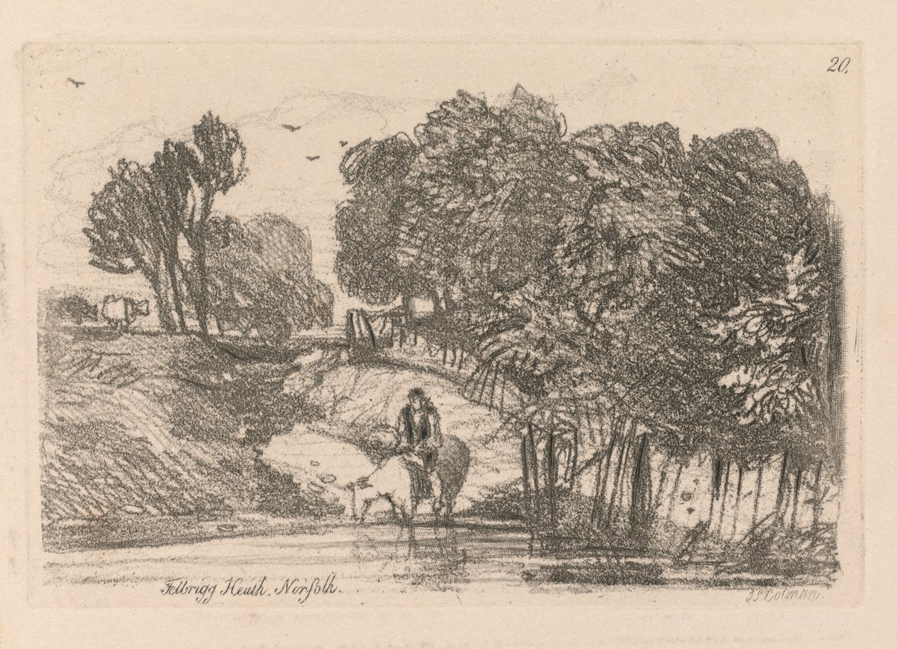 Liber Studiorum: Placa 20, Felbrigg Heath, Norfolk, 1838 de John Sell Cotman