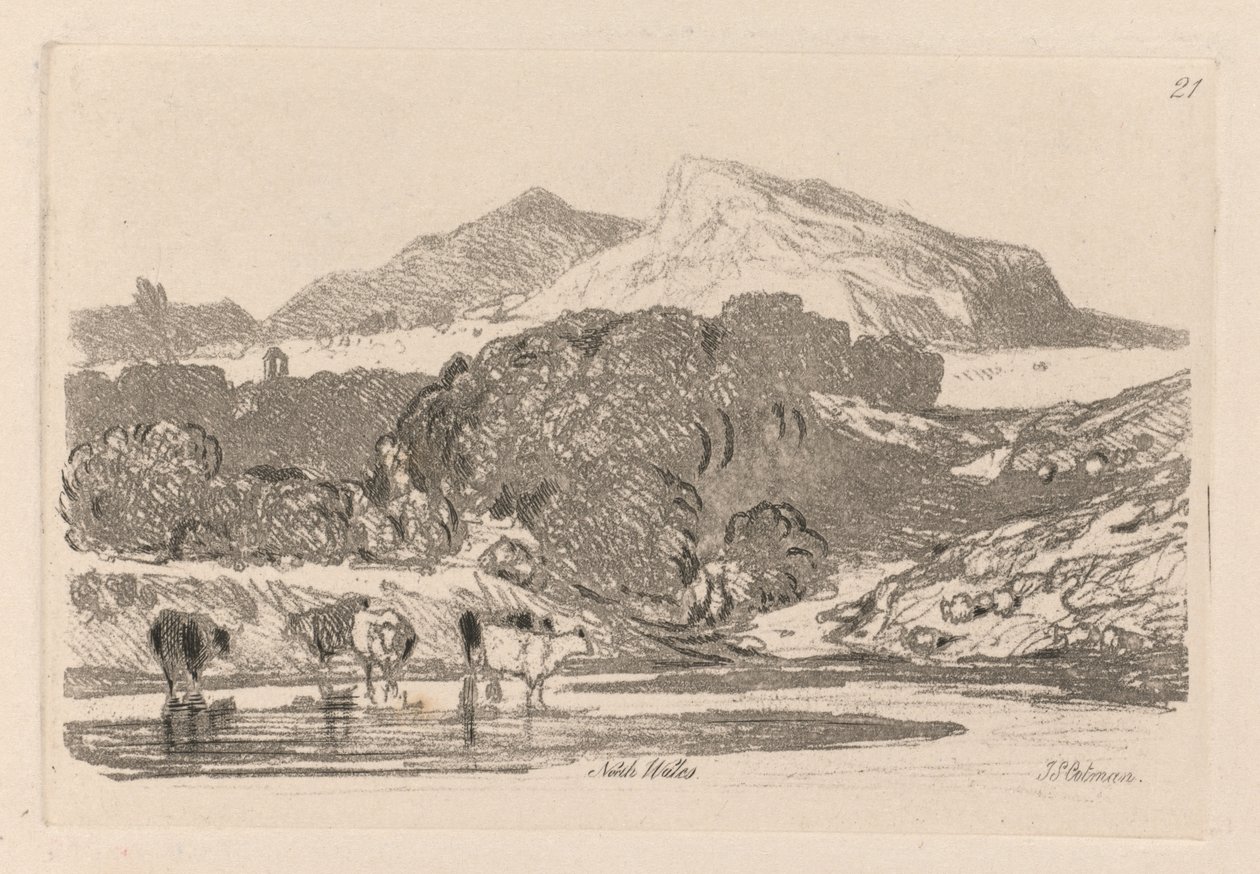 Liber Studiorum: Lámina 21, Vista en el norte de Gales, 1838 de John Sell Cotman