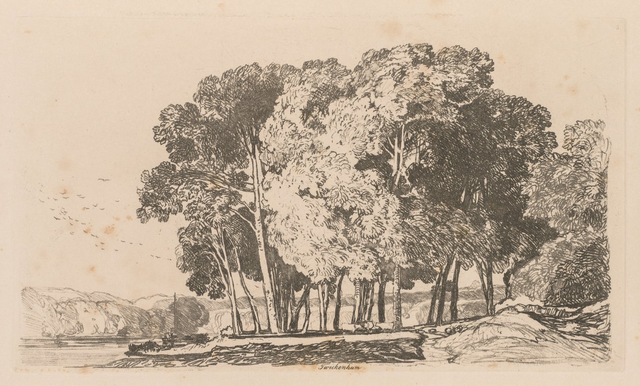 Liber Studiorum: lámina 3, árboles cerca de Twickenham de John Sell Cotman