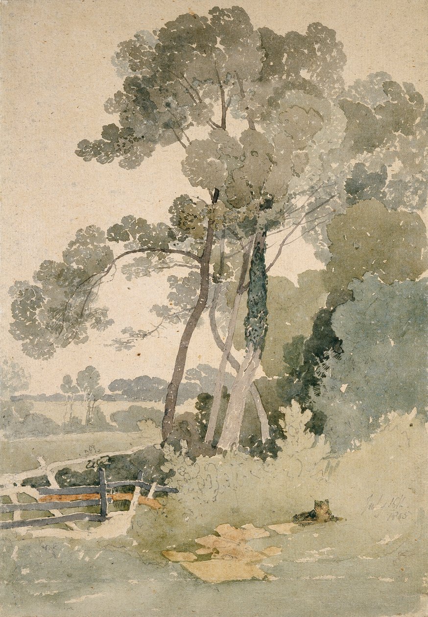 Cerca de Brandsby, Yorkshire, 1865 de John Sell Cotman