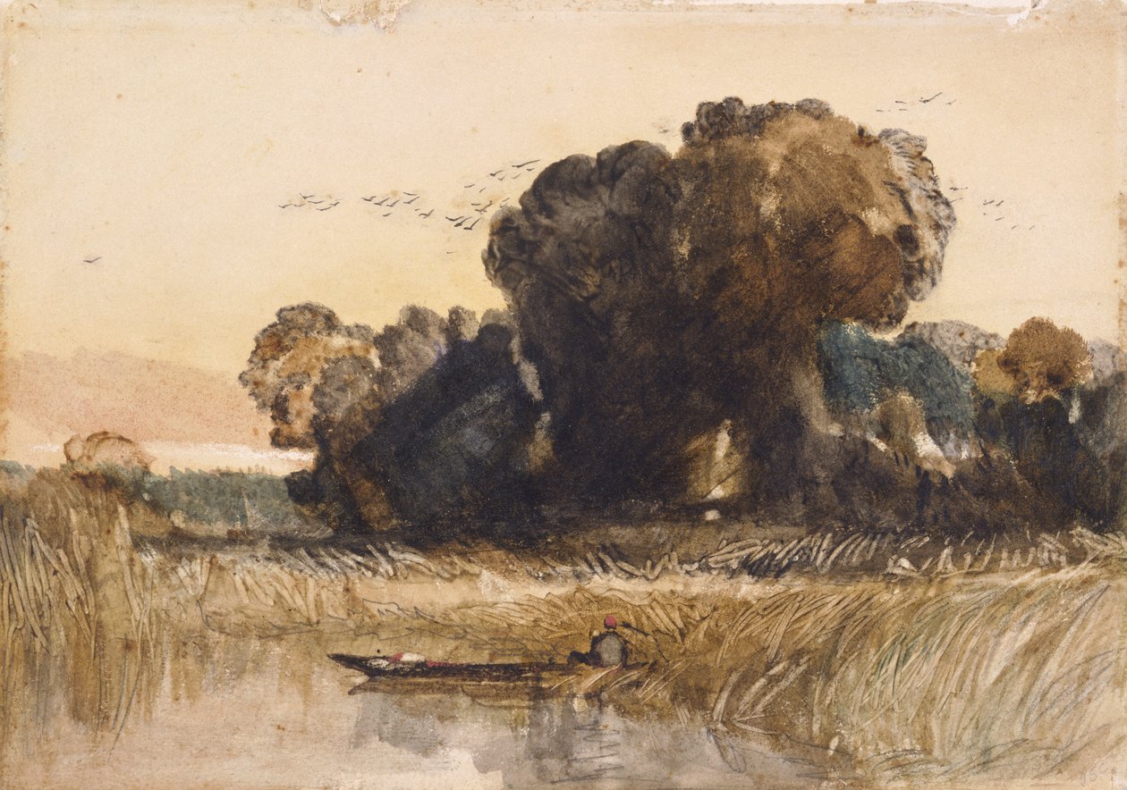 Batea entre juncos (acuarela y grafito sobre papel) de John Sell Cotman