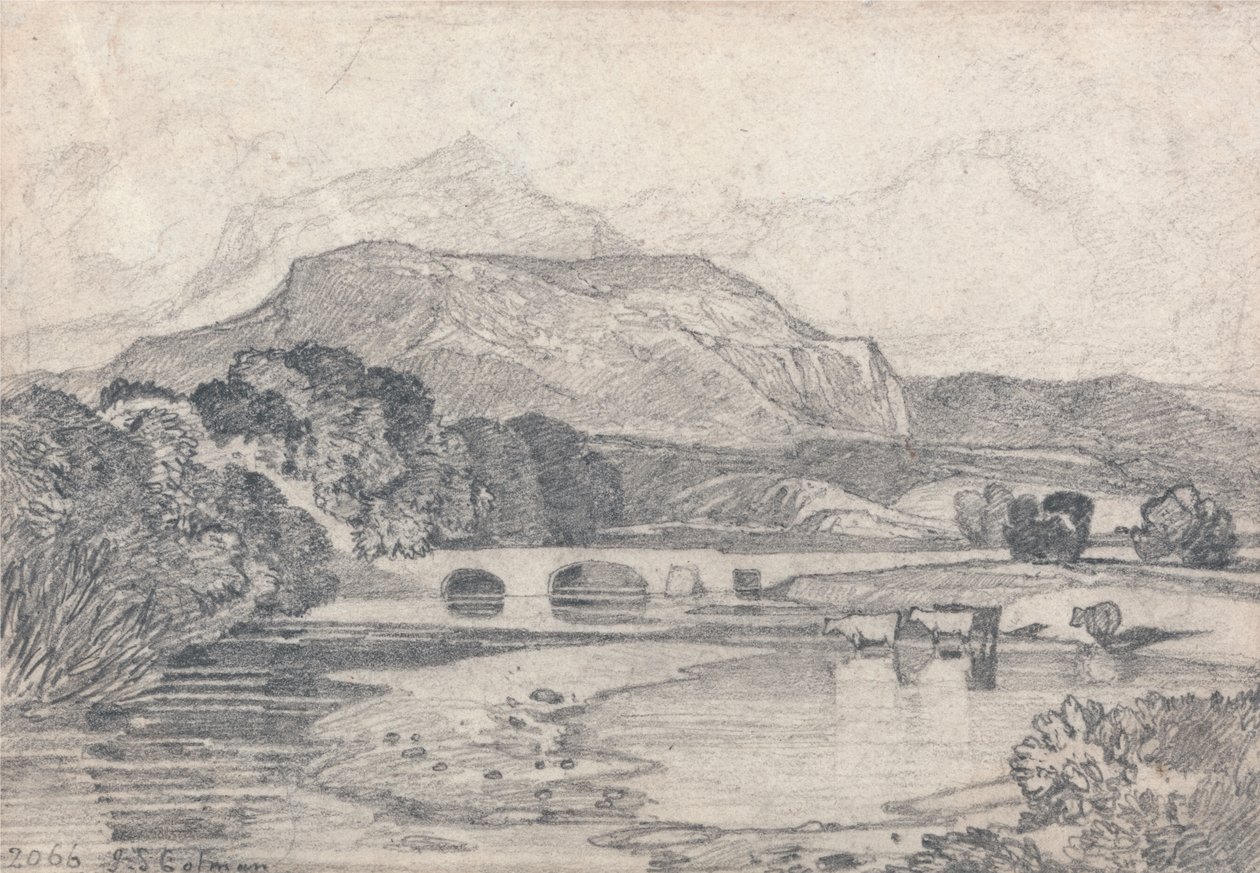 Tan-y-Bwlch, Gales del Norte de John Sell Cotman