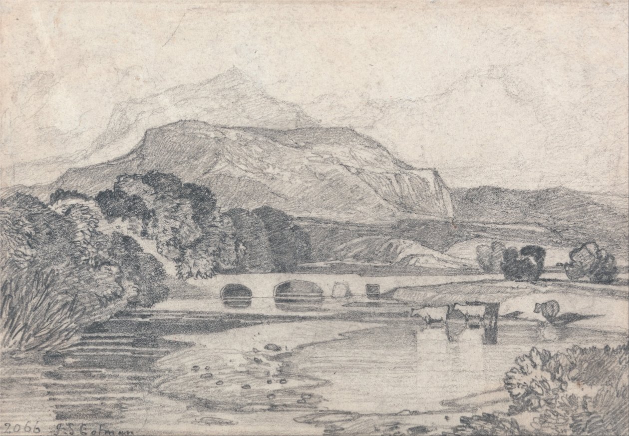 Tan-y-Bwlch, Gales del Norte de John Sell Cotman