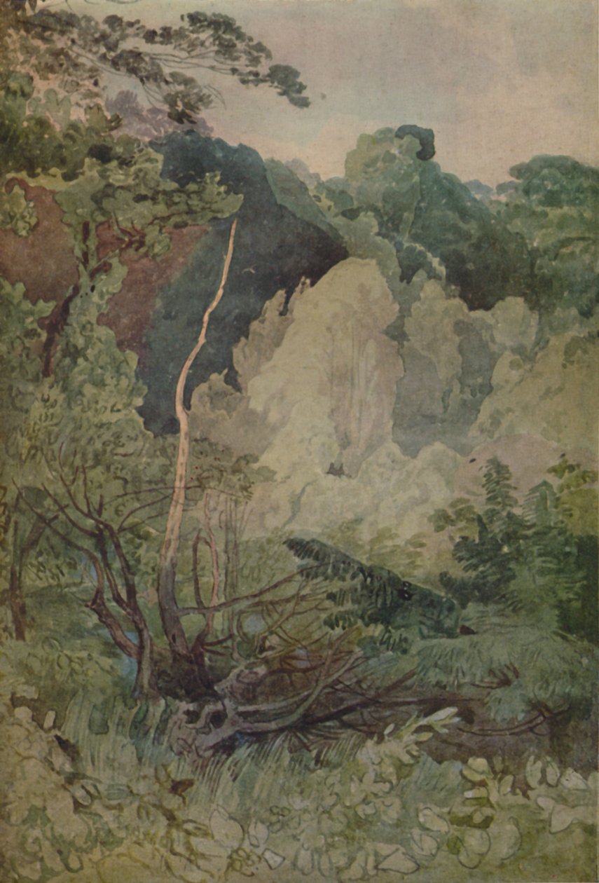 Árboles Cerca del Río Greta de John Sell Cotman