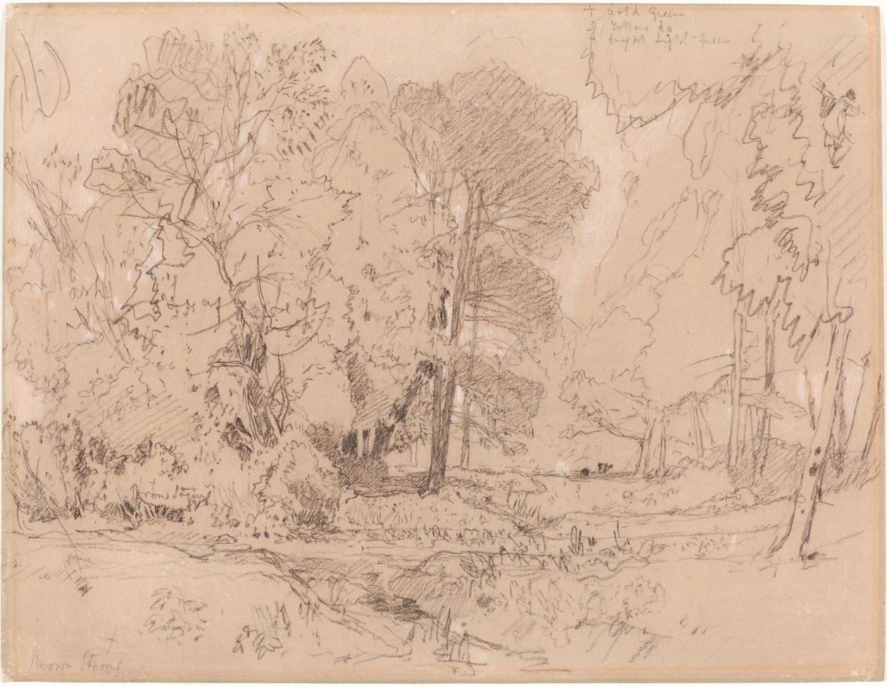 Paisaje Boscoso de John Sell Cotman
