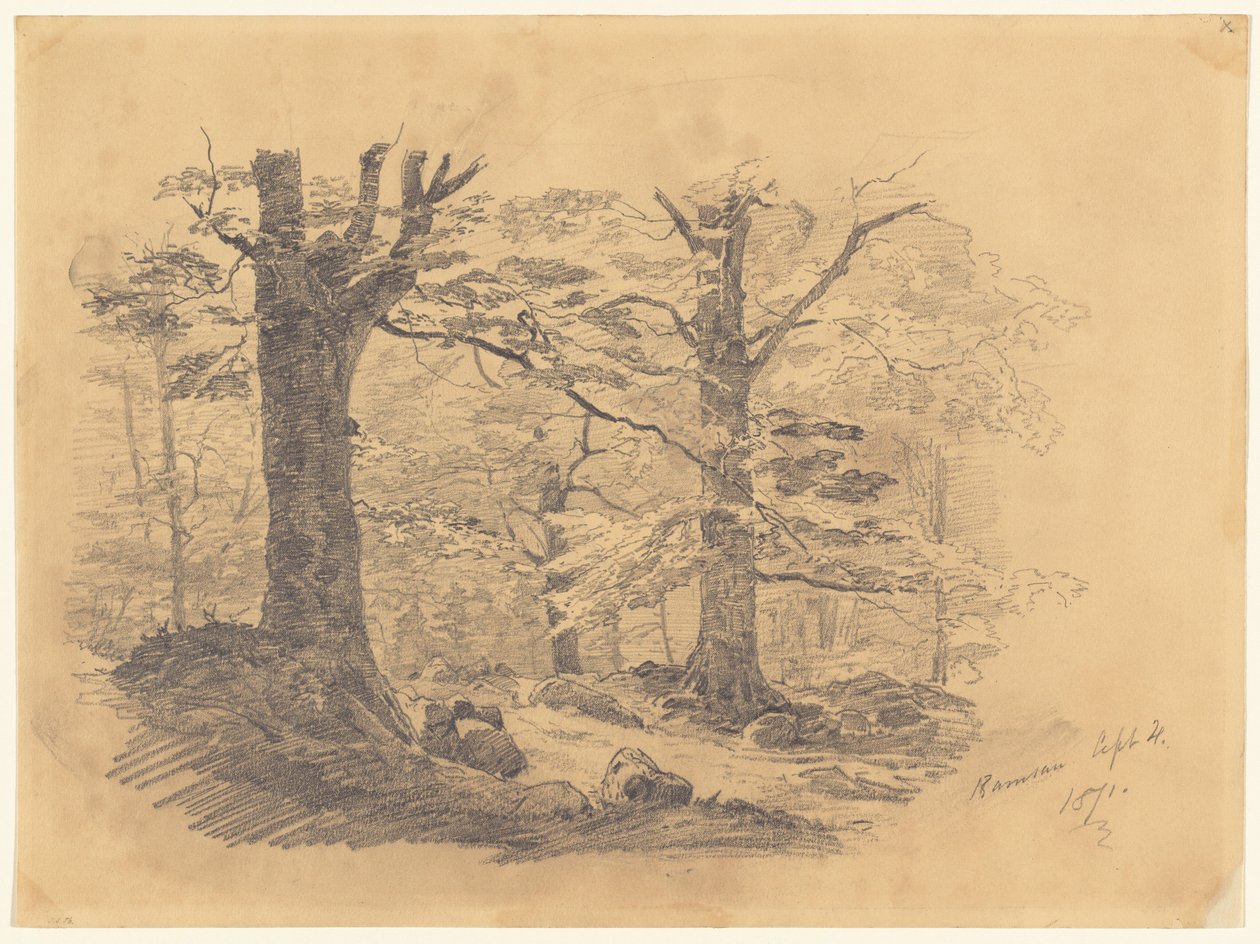 Bosque, Ramsau, Alemania de John Singer Sargent