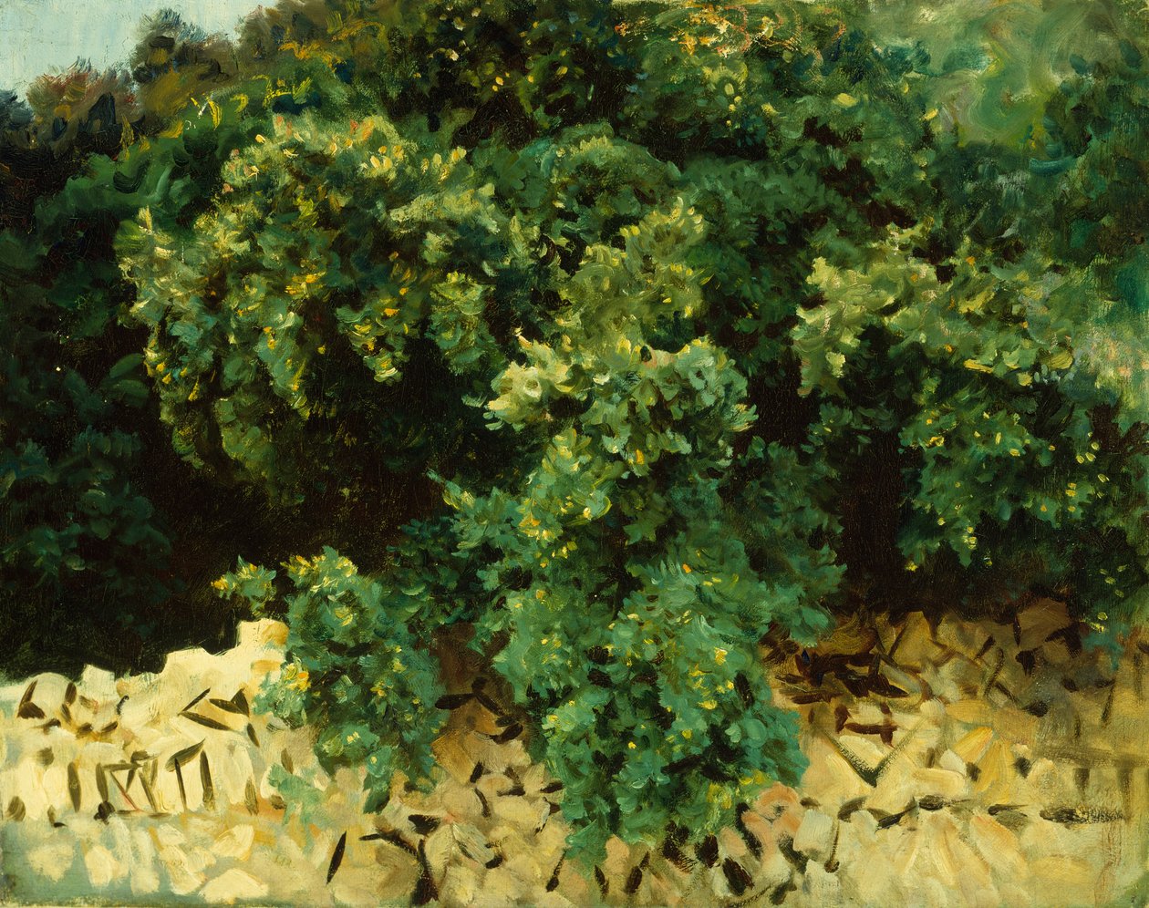 Madera de Ilex, Mallorca de John Singer Sargent