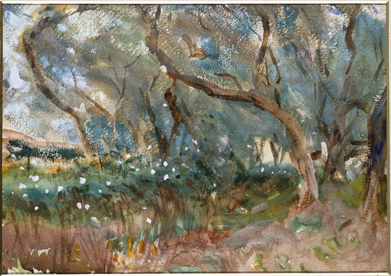 Paisaje, Corfú, 1909 de John Singer Sargent