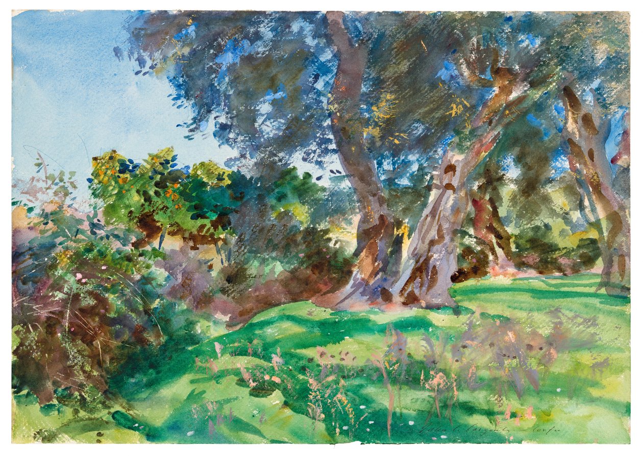 Olivos, Corfú de John Singer Sargent