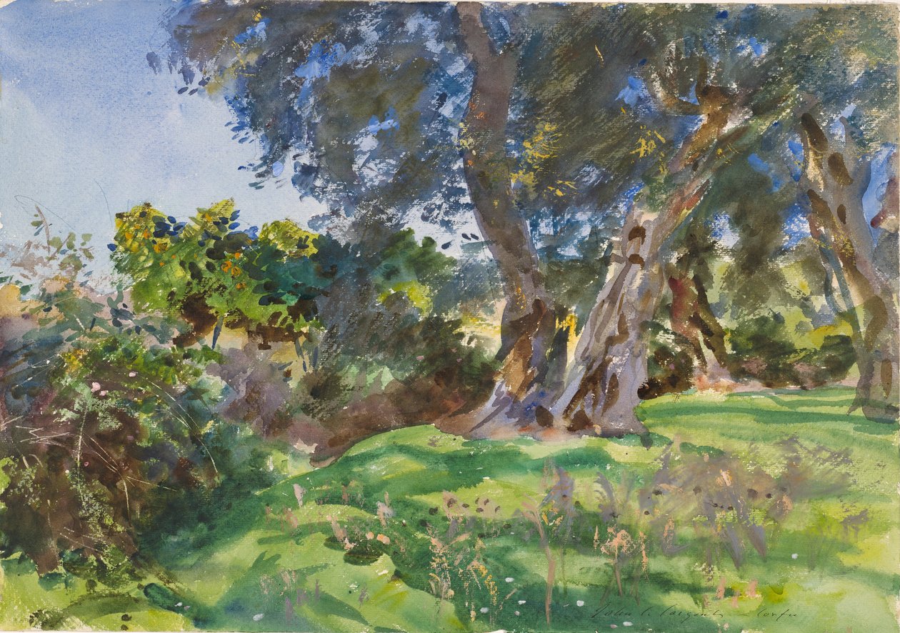 Olivos, Corfú de John Singer Sargent