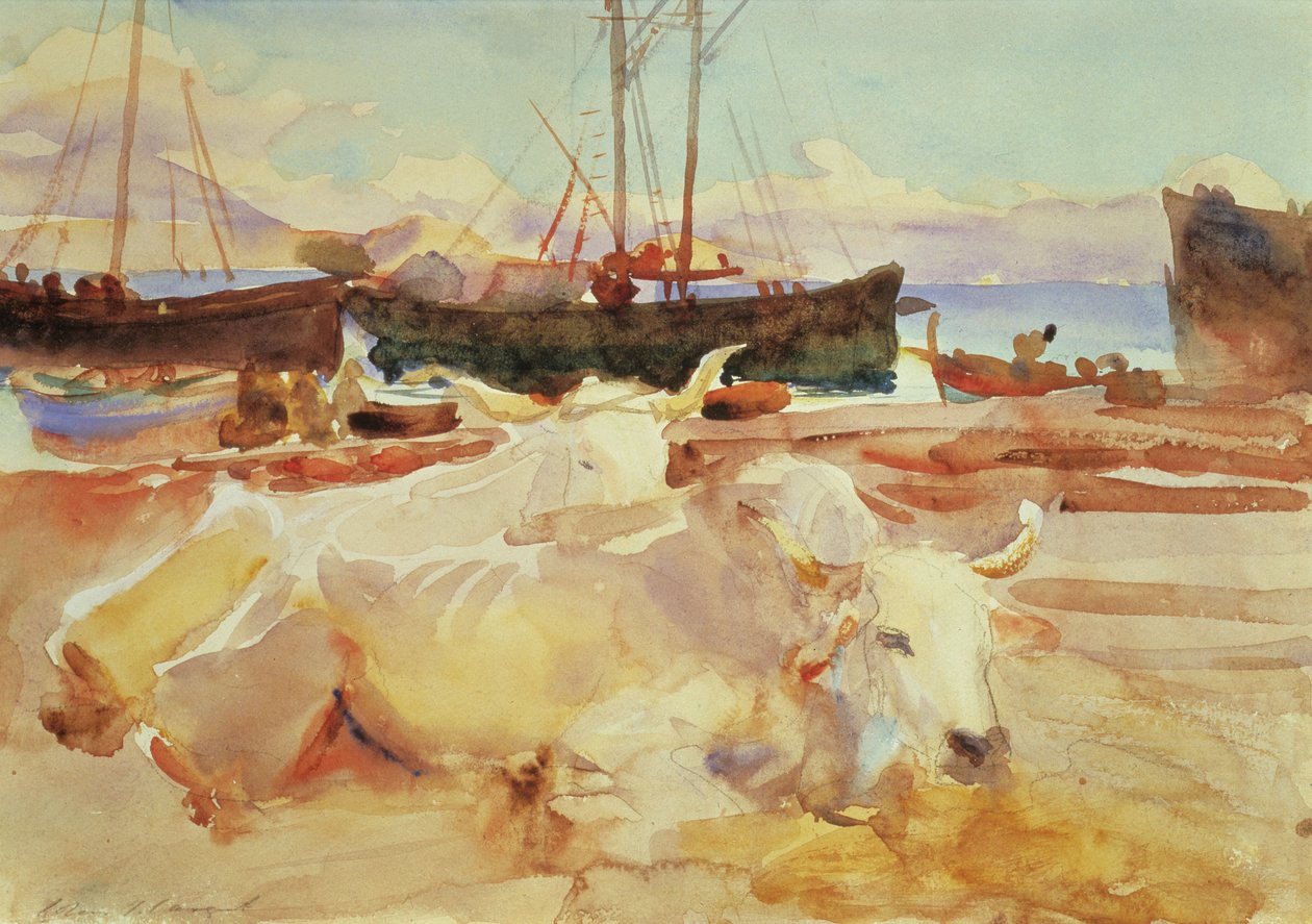Bueyes en la playa de Baia, c.1908 de John Singer Sargent