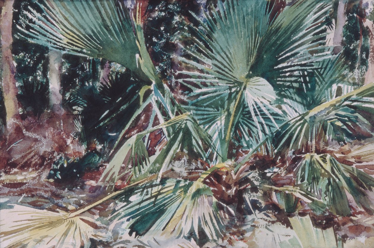 Palmettos de John Singer Sargent