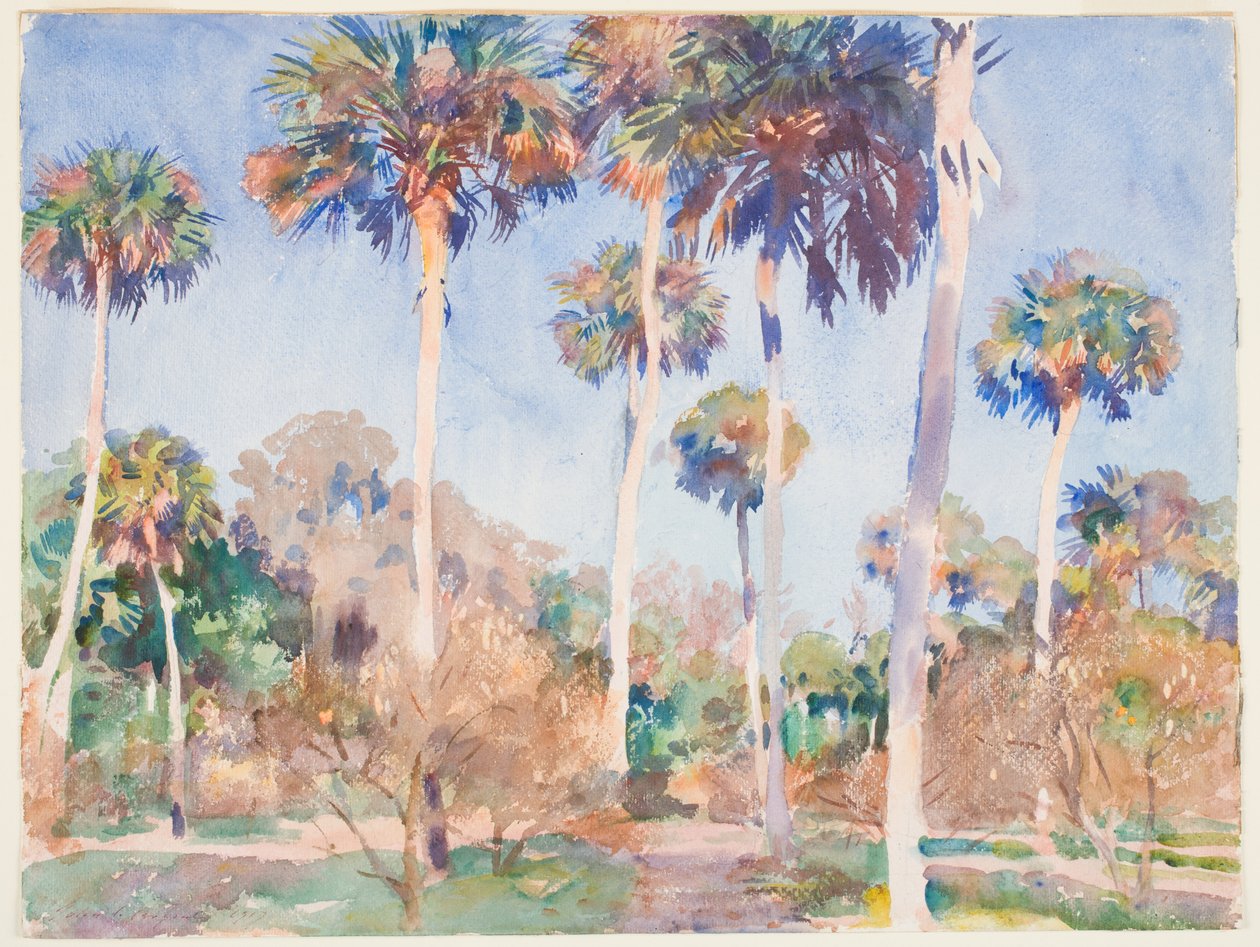Palmeras, 1917 de John Singer Sargent