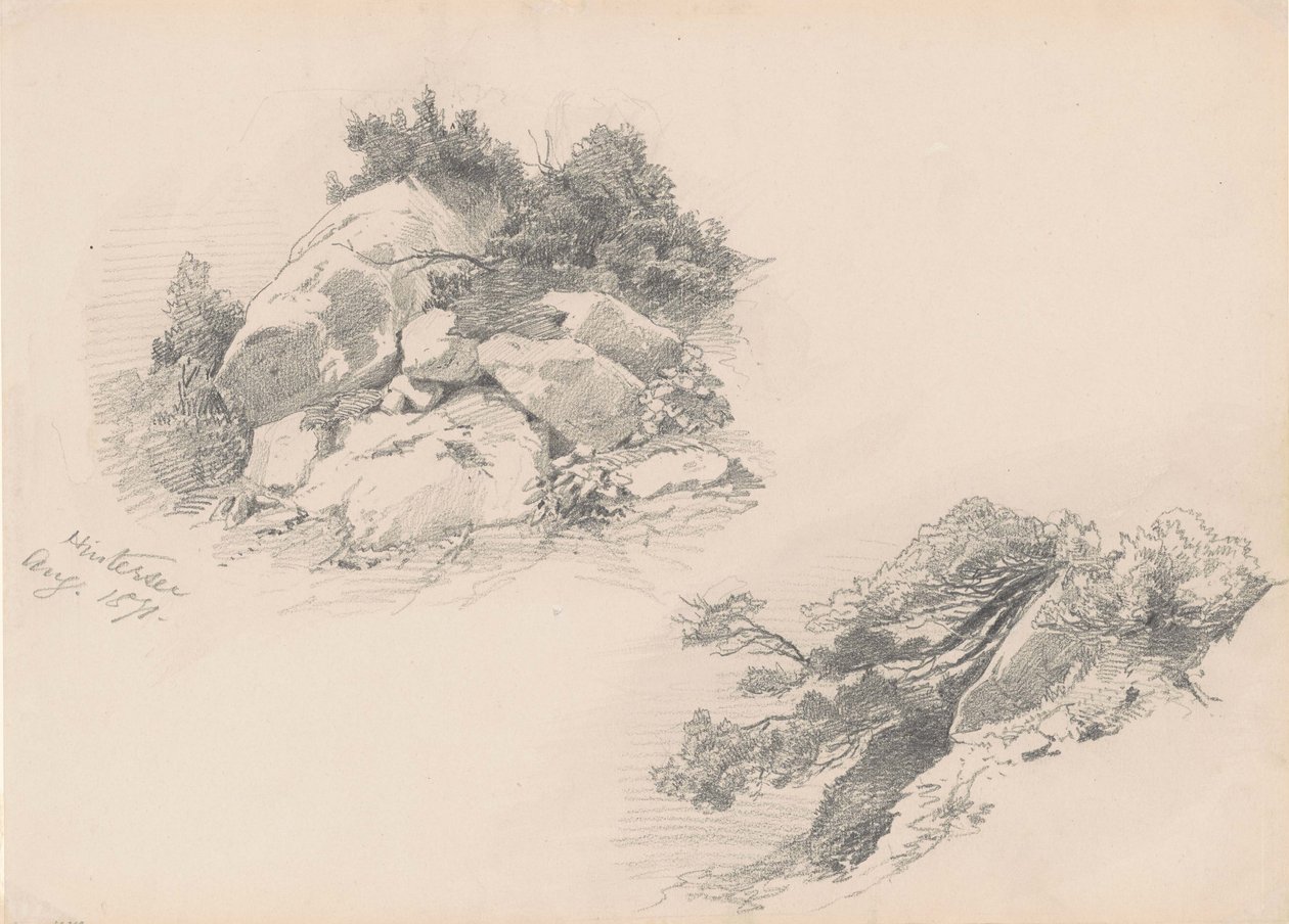 Rocas y Matorrales, Hintersee, Alemania, 1871 de John Singer Sargent