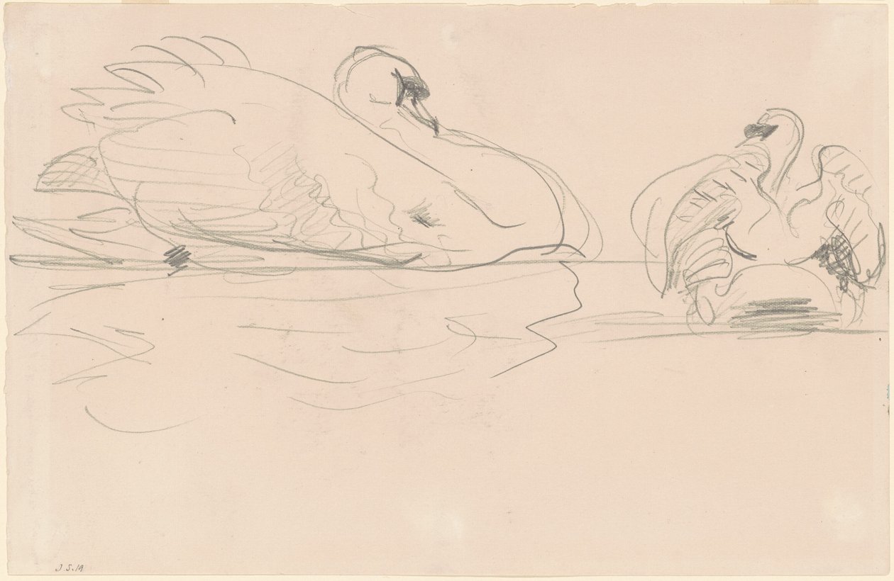 Cisnes en el agua de John Singer Sargent