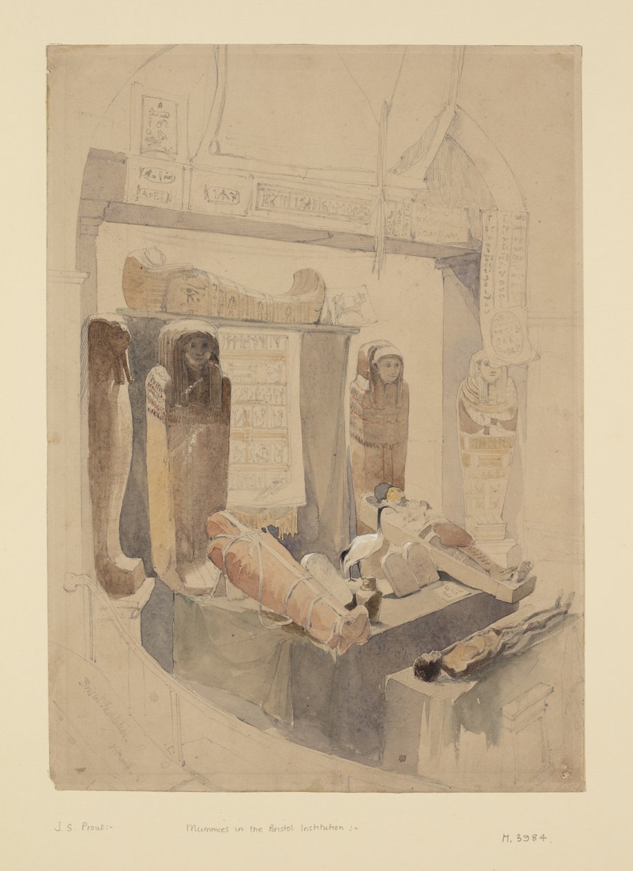 Momias en la Institución de Bristol, c.1834 de John Skinner Prout