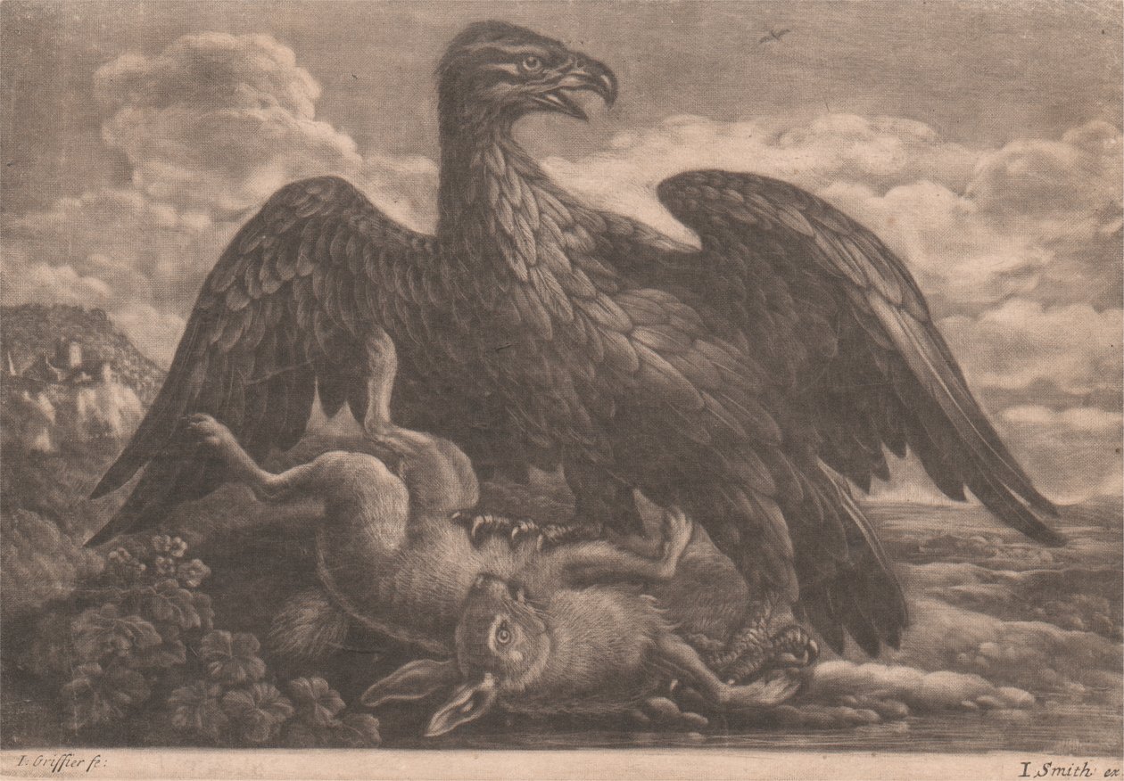 Águila y liebre de John Smith