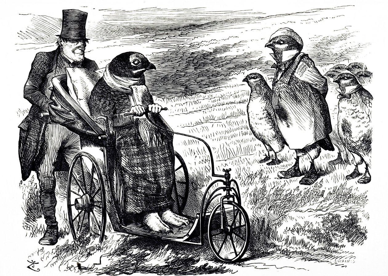 Una caricatura comentando la suspensión de la caza de urogallos para permitir la reconstrucción de la población. Ilustrado por John Tenniel (1820-1914), un ilustrador inglés, humorista gráfico y caricaturista político de John Tenniel