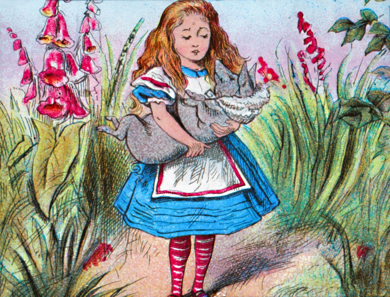 Alicia sosteniendo un cerdo en sus brazos, c1910 de John Tenniel