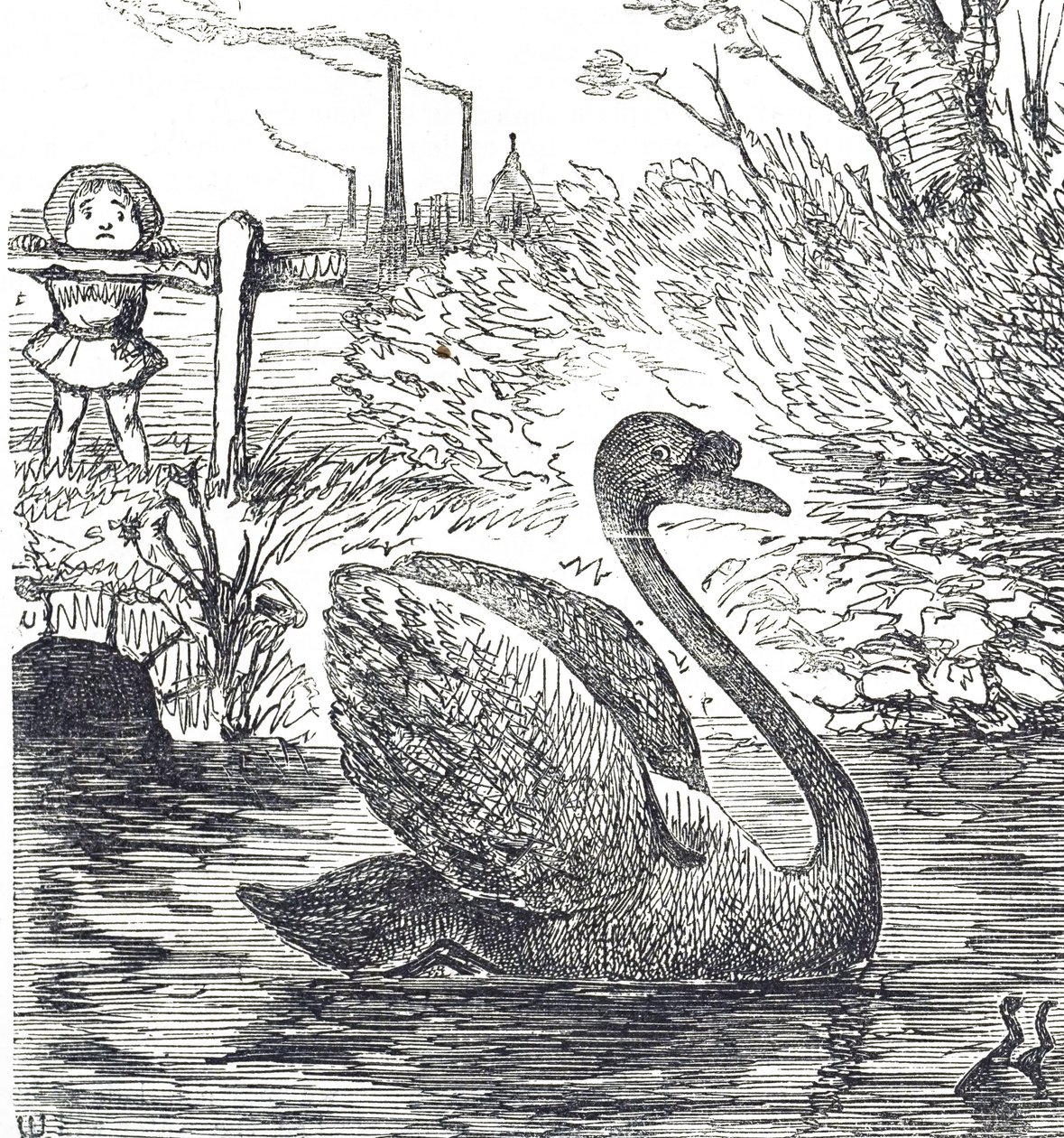 Caricatura comentando sobre la contaminación del Támesis en Londres de John Tenniel