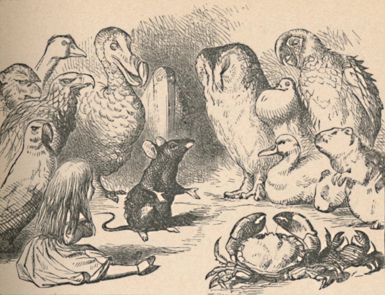 Ilustración para el capítulo una Carrera-Caucus y una larga cola. Alicia y varias criaturas, como de John Tenniel