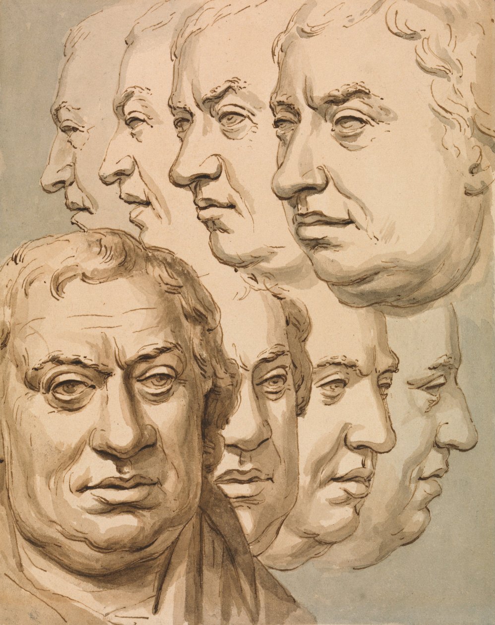 Estudios a partir del busto de Samuel Johnson de John Thomas Smith