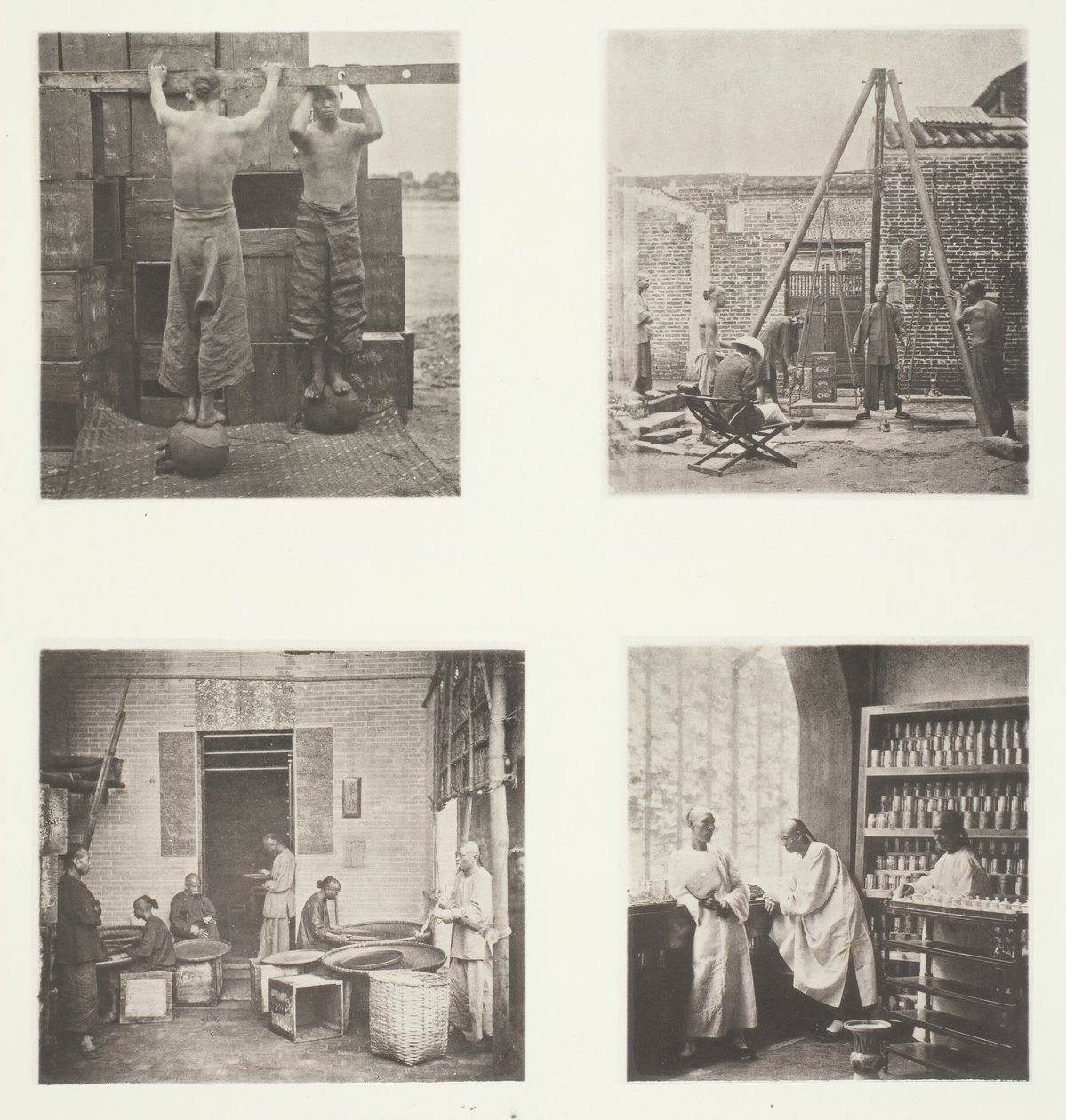 Enrollando té de alcaparra perfumado y pólvora, pesando té para exportación, una casa de té..., c. 1868 de John Thomson