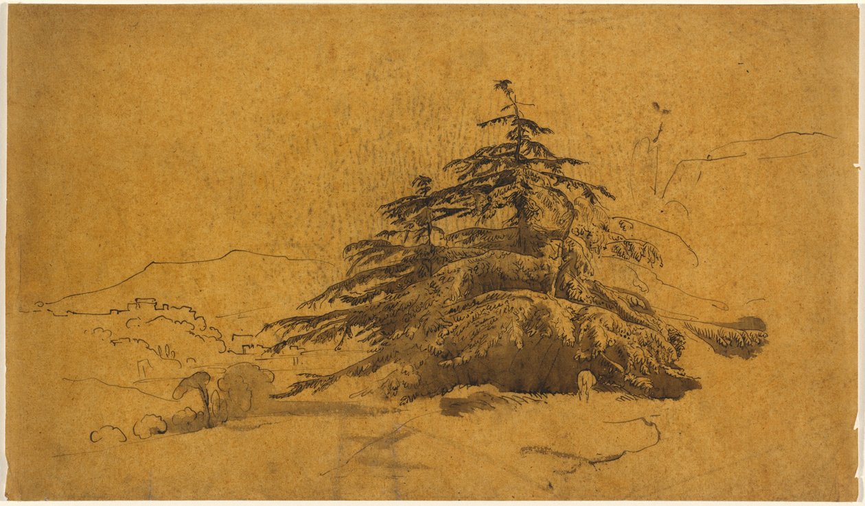 Studie von Bäumen in einer Landschaft de John Varley