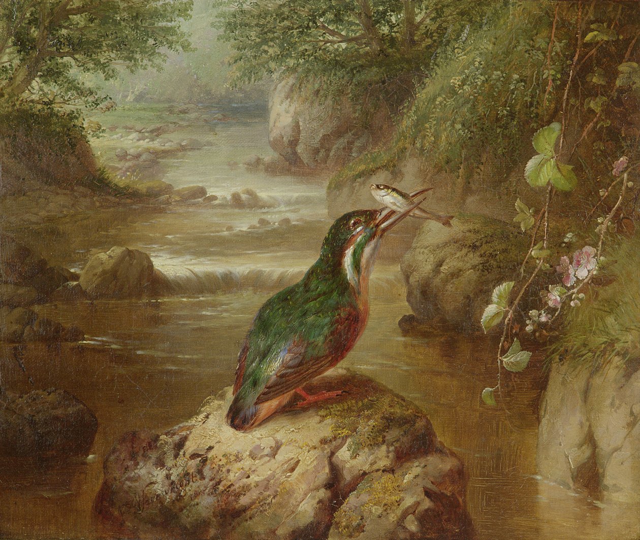 El refugio del martín pescador de John Wainwright