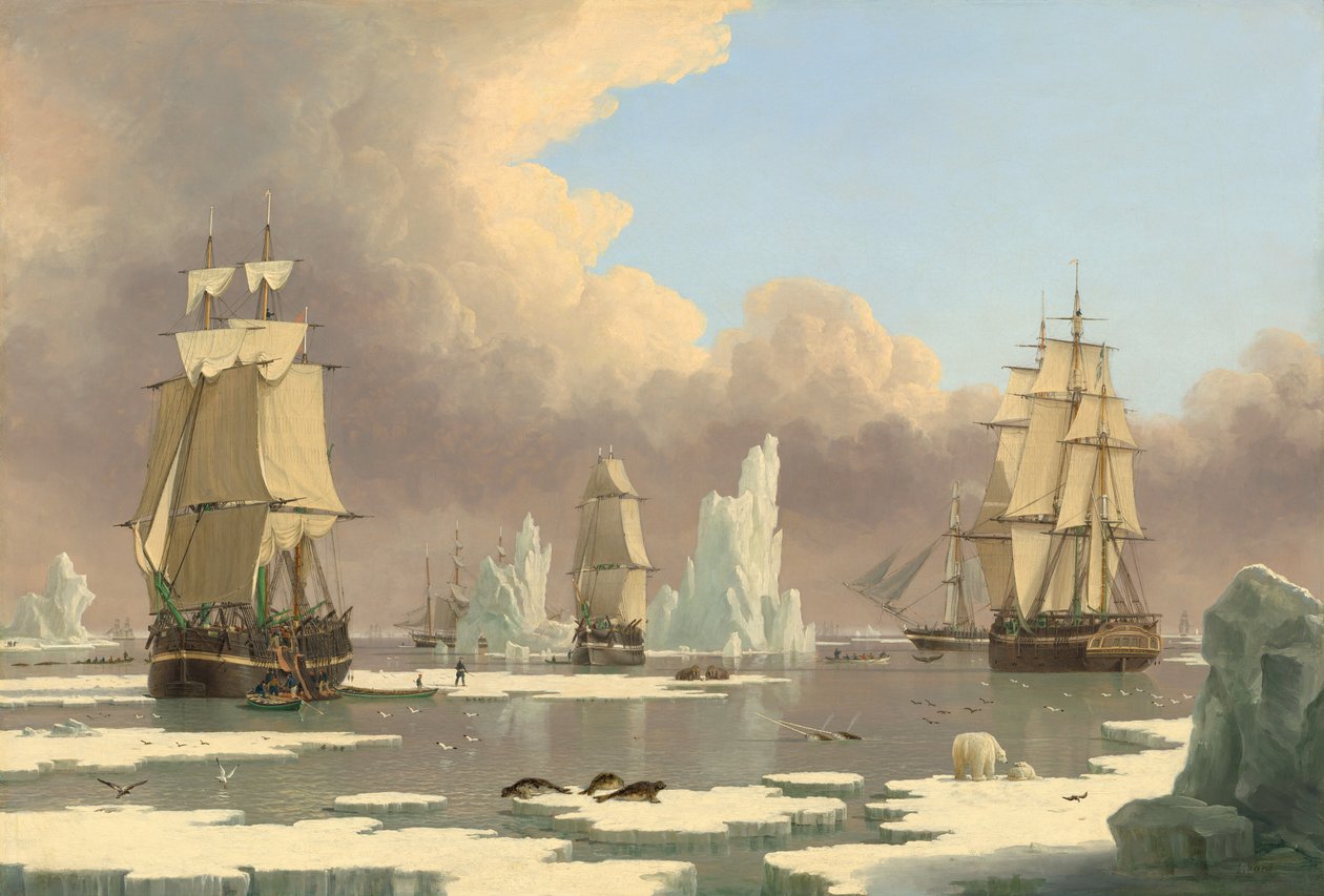 La Pesca de Ballenas del Norte: El "Swan" y "Isabella" de John Ward of Hull