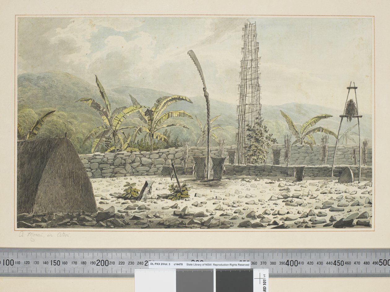 F.17 Un Morai, en Atooi, c.1773-84 de John Webber