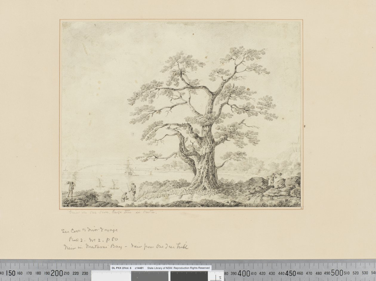 Vista en la orilla del mar, gran árbol en el centro de John Webber