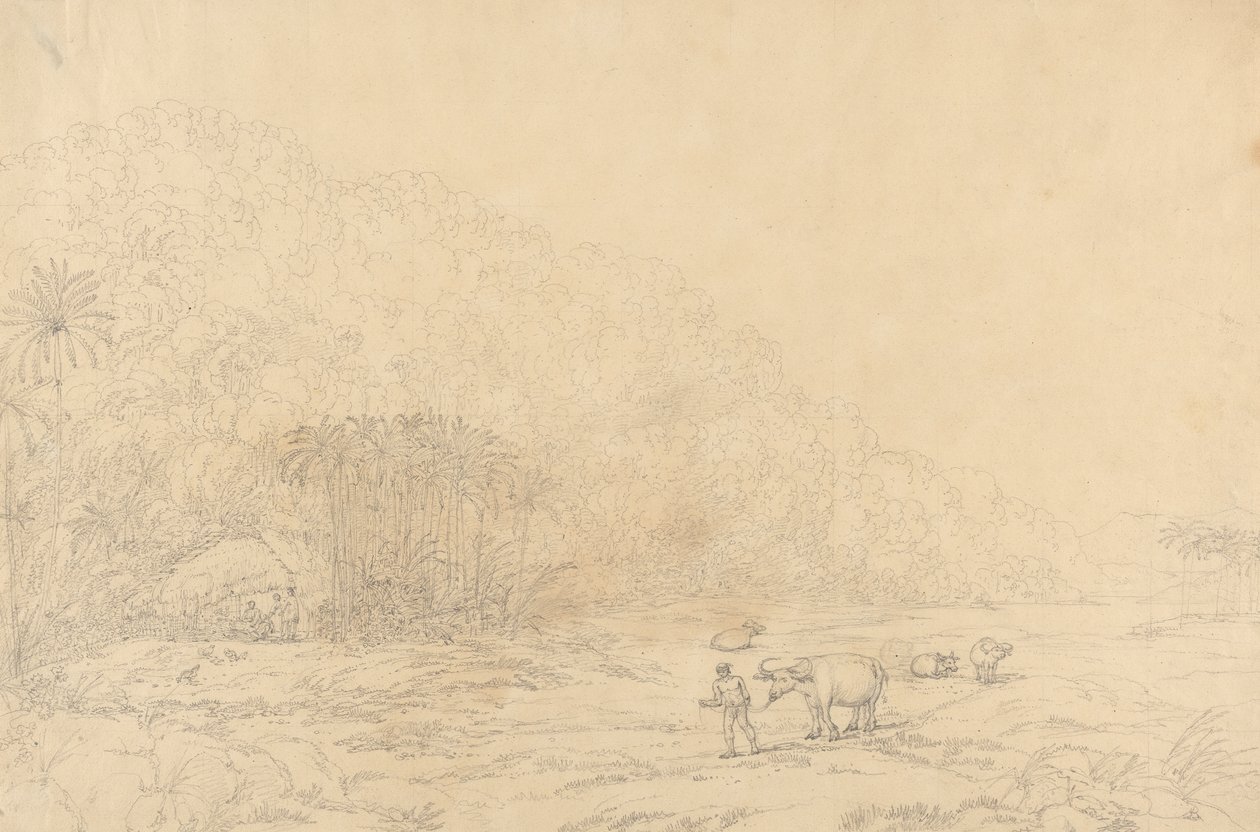 Vista en la isla de Pulo Condore de John Webber